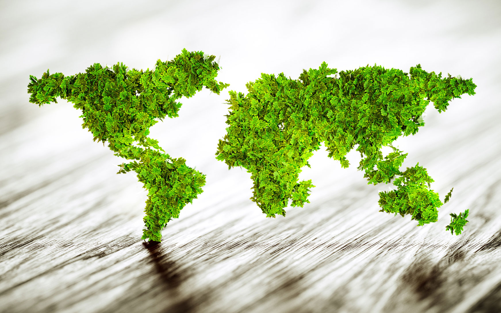 Compromiso con el medio ambiente Certificados de calidad Todocristal